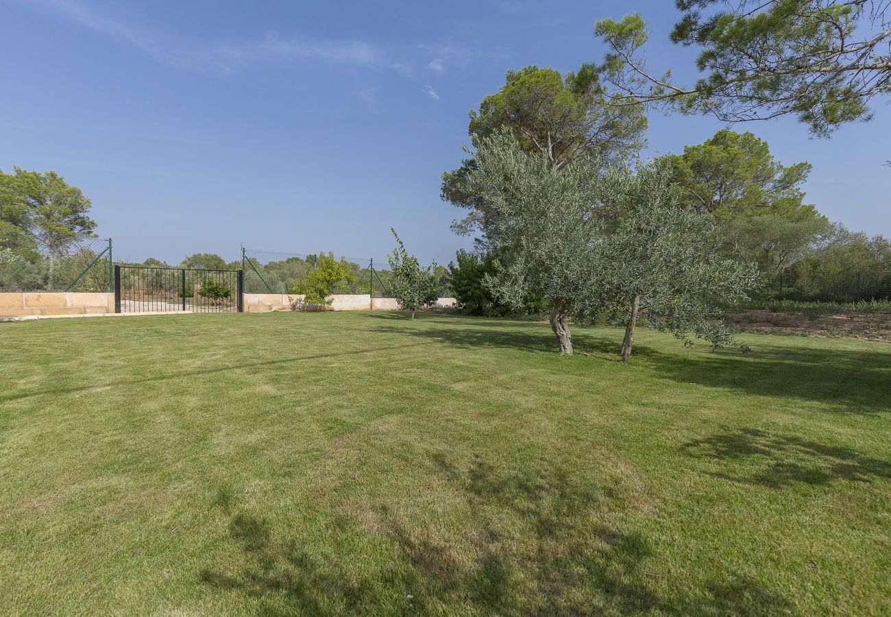 Villa en Algaida - Finca Son Ullastre