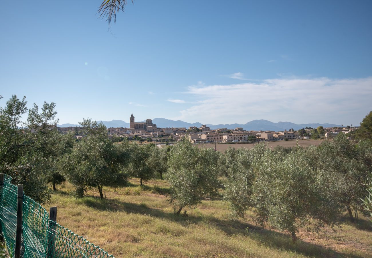 Villa en Sineu - Es Flavo