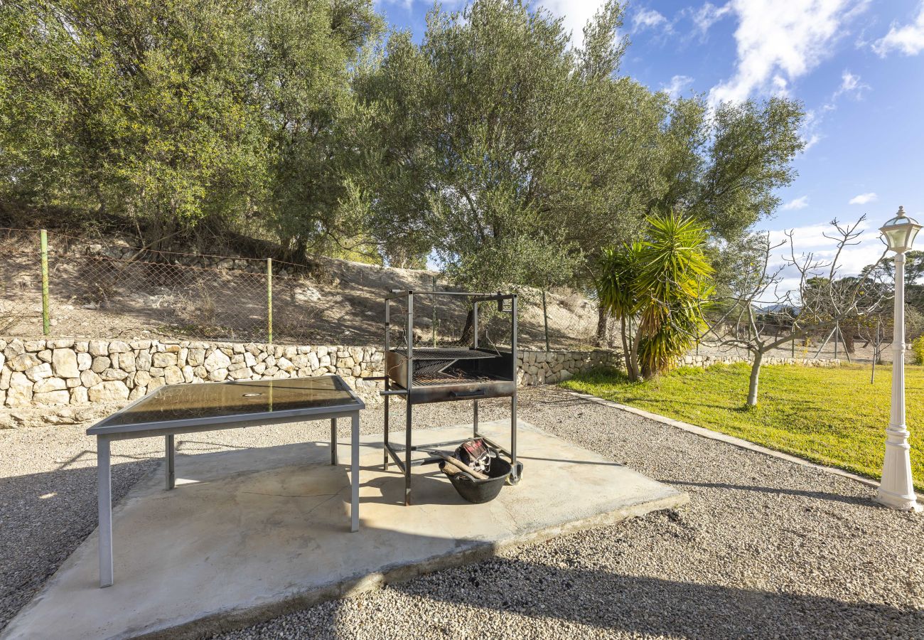Finca en Selva - Ses Comes