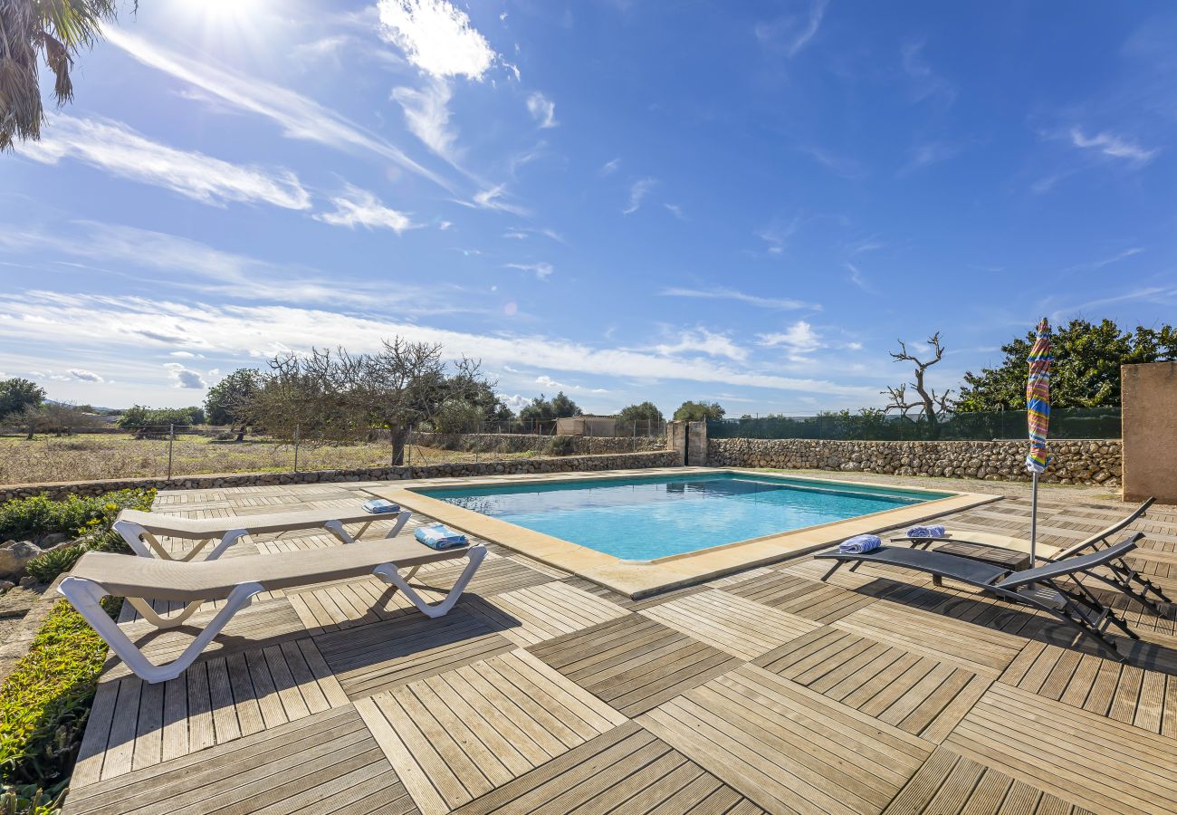 Villa en Santa Margalida - Mercedes