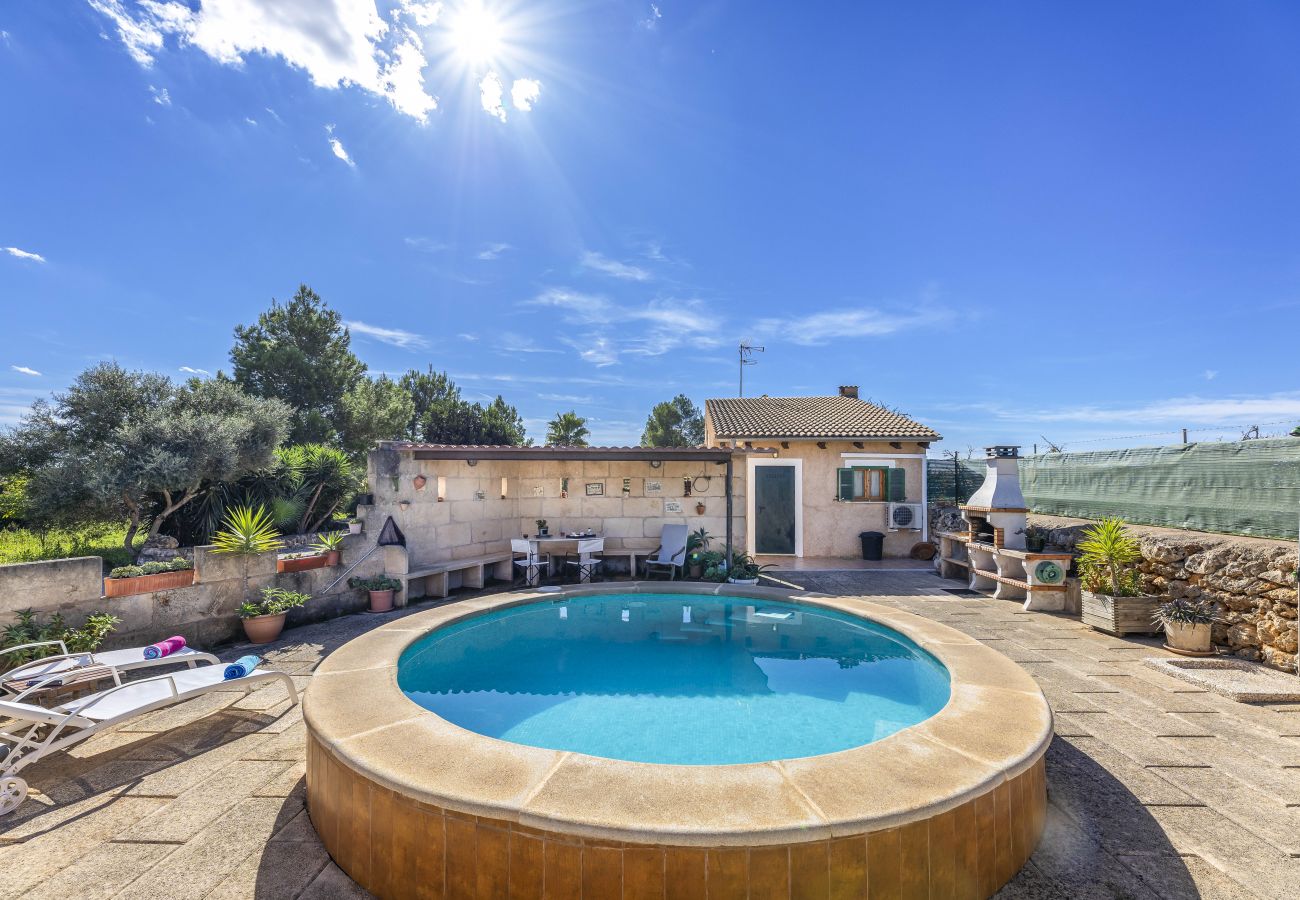 Finca en Santa Margalida - Amalia