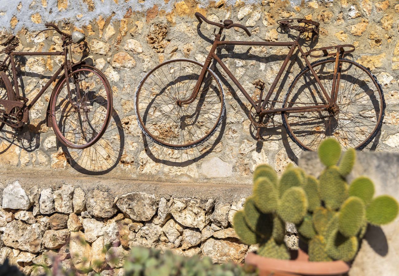 Finca en Santa Margalida - Amalia