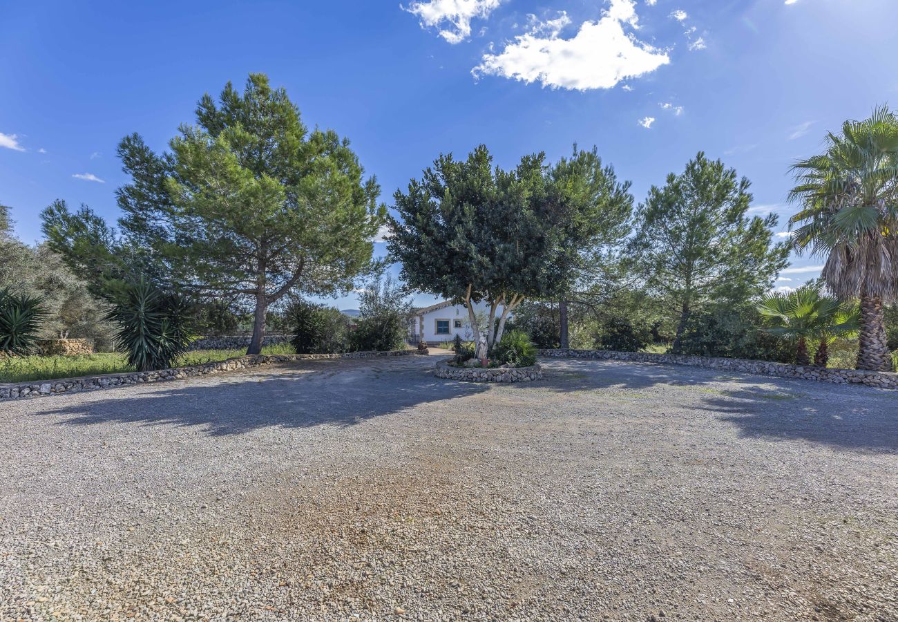 Finca en Santa Margalida - Amalia