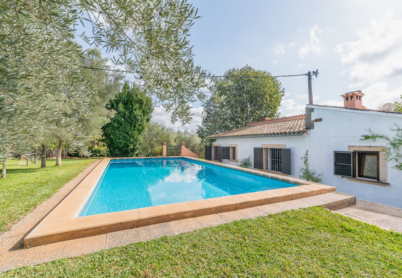 Country house in Alaro - Finca Can Lluc