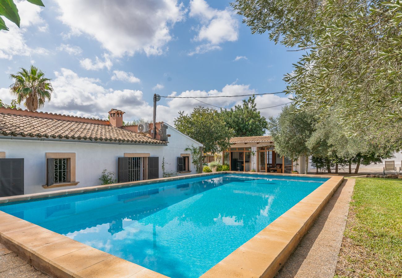 Country house in Alaro - Finca Can Lluc