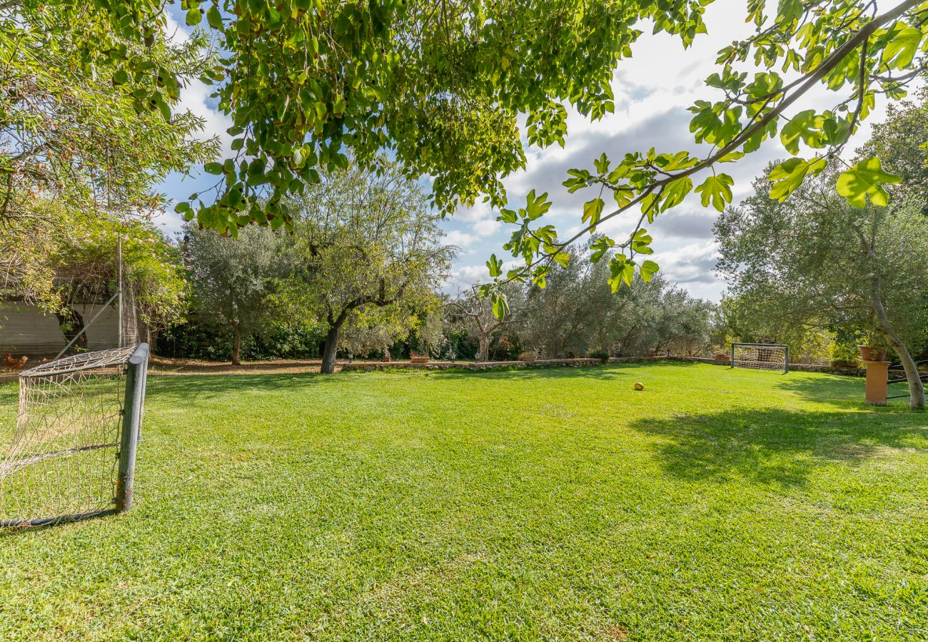Country house in Alaro - Finca Can Lluc