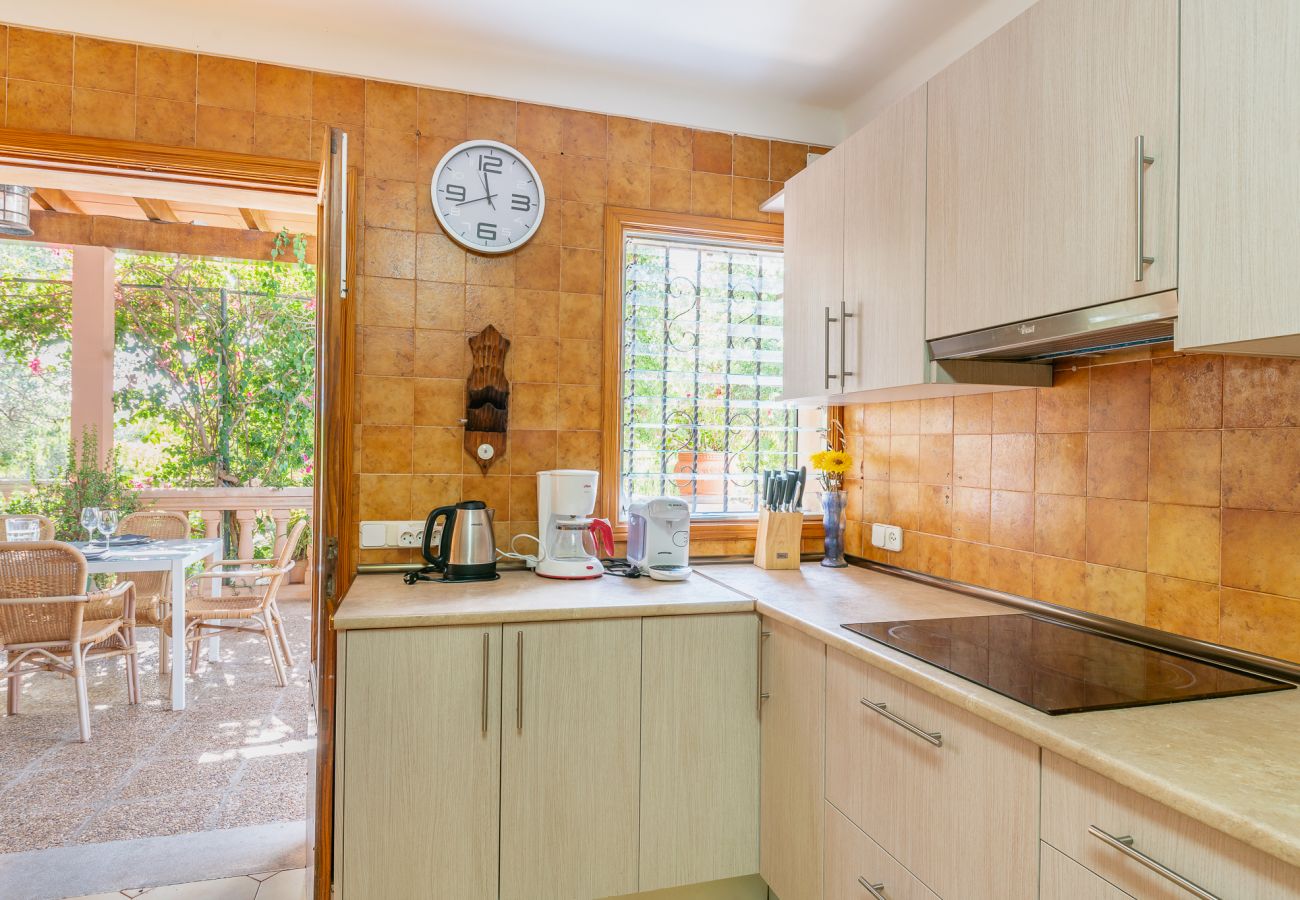 Country house in Alaro - Finca Can Lluc