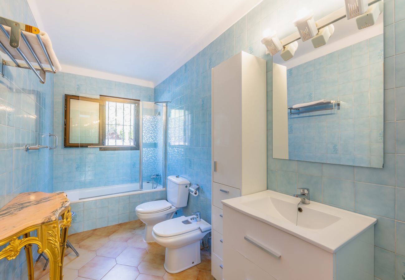 Country house in Alaro - Finca Can Lluc