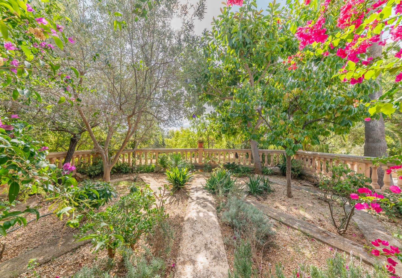 Country house in Alaro - Finca Can Lluc