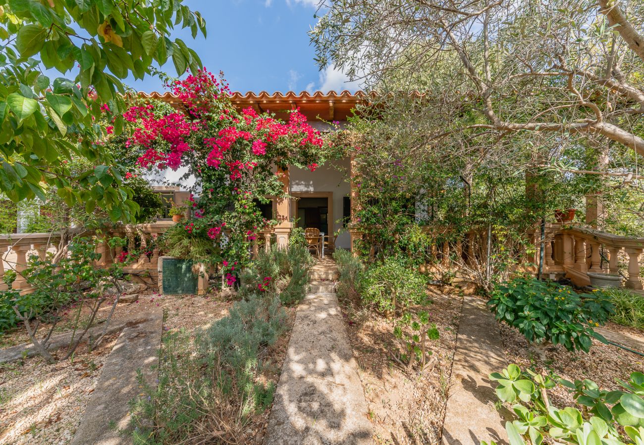 Country house in Alaro - Finca Can Lluc