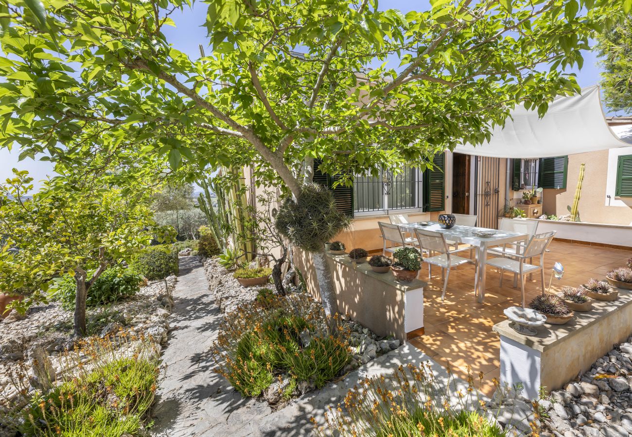 Villa in Montuïri - Finca Can Tomeu