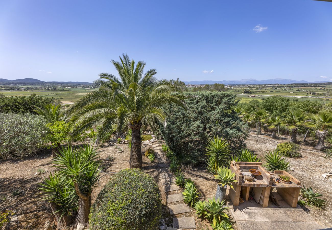 Villa in Montuïri - Finca Can Tomeu