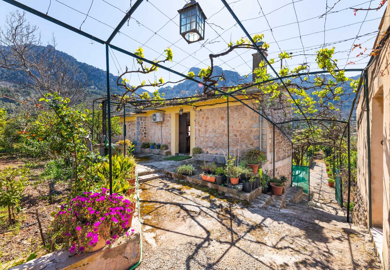 Villa in Fornalutx - Villa Florida