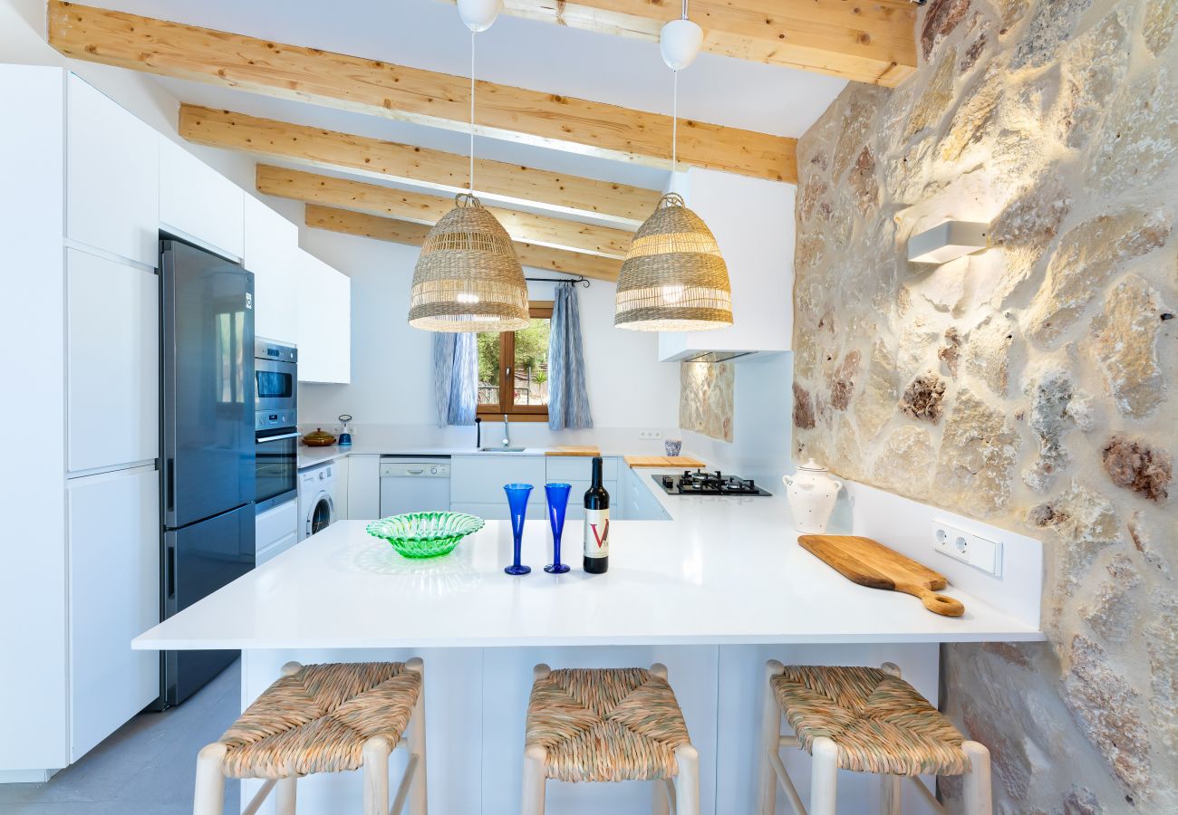 Villa in Sant Joan - Finca Can Miro