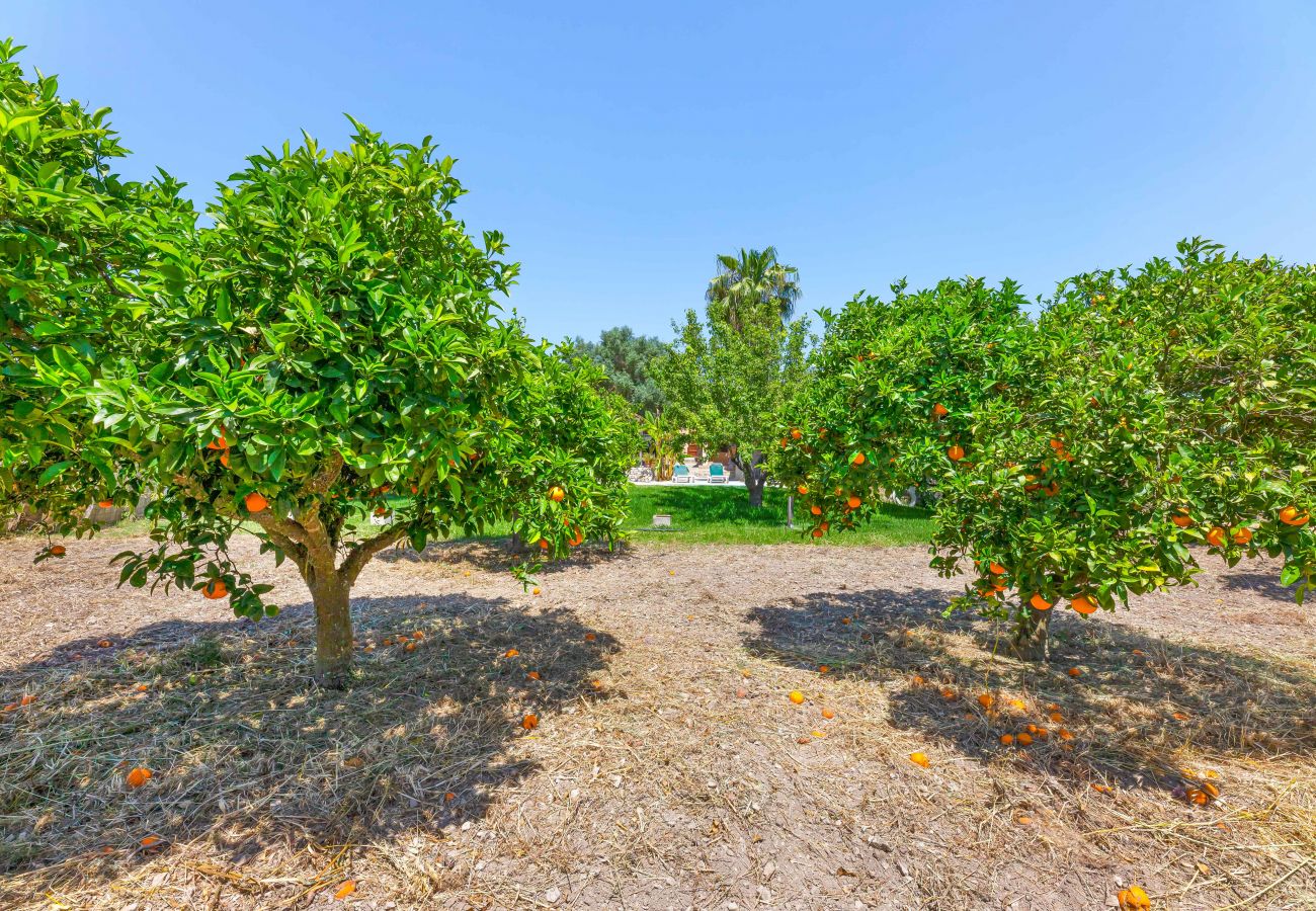 Villa in Sant Joan - Finca Can Miro