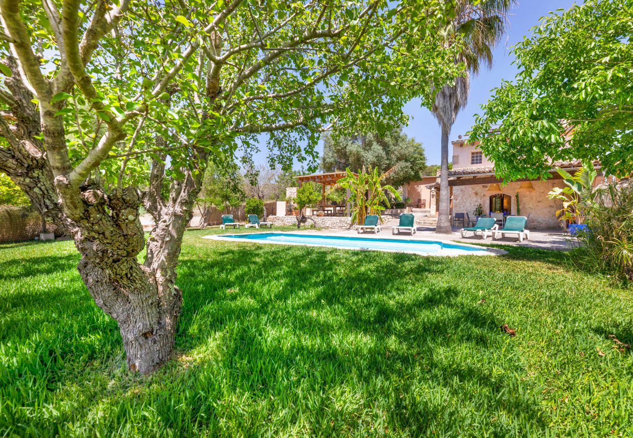Villa in Sant Joan - Finca Can Miro
