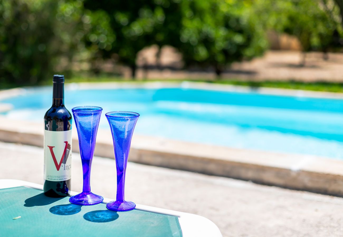 Villa in Sant Joan - Finca Can Miro