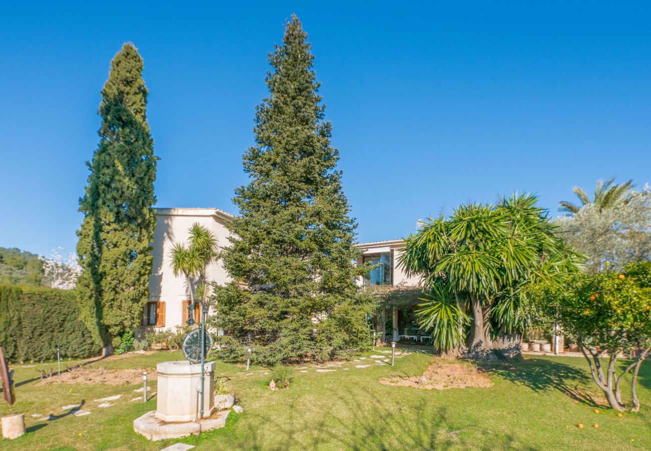 Villa in Lloseta - Villa Tramontana