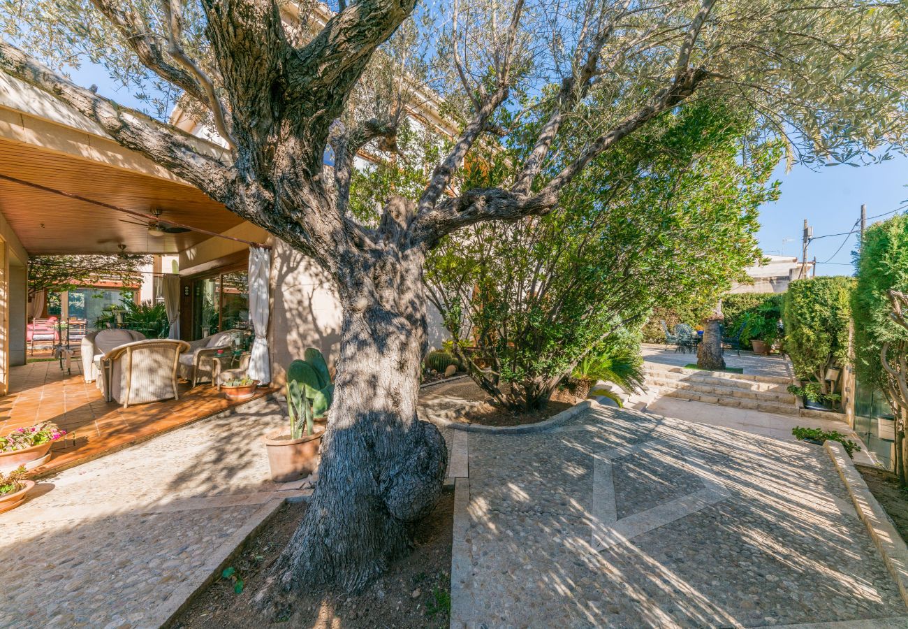 Villa in Lloseta - Villa Tramontana