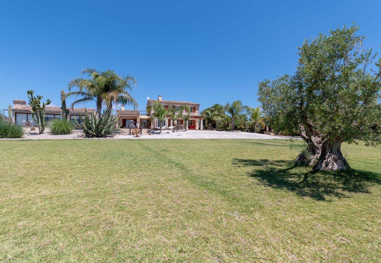 Country house in Alcudia - Finca Can Oliva