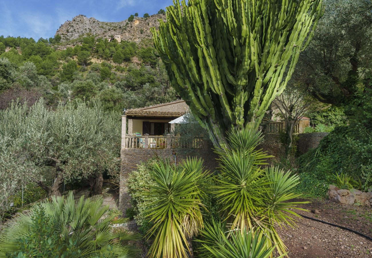 Chalet in Escorca - Cala Tuent