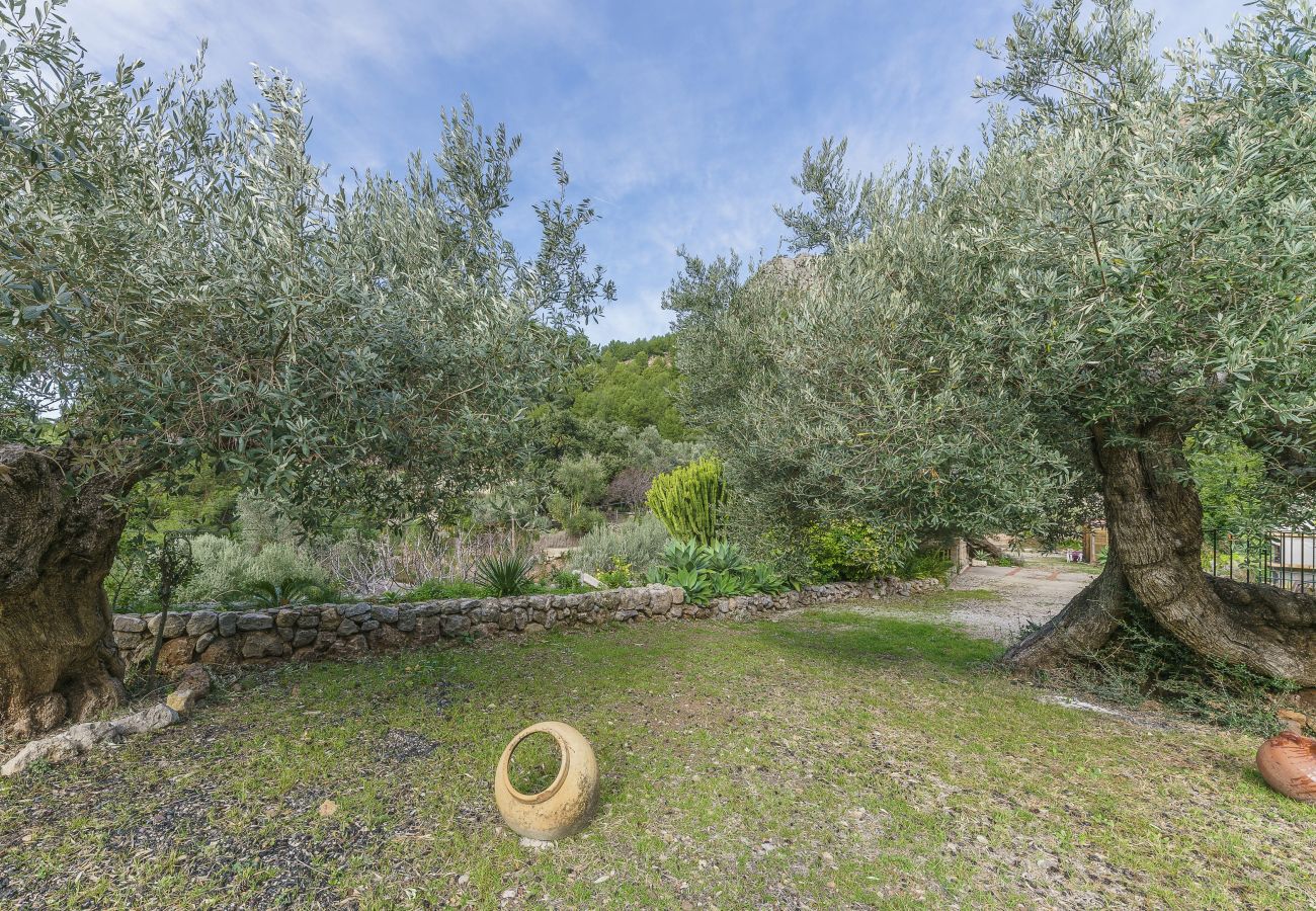 Chalet in Escorca - Cala Tuent