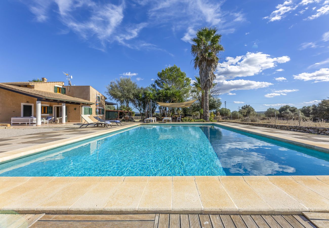 Villa in Santa Margalida - Mercedes