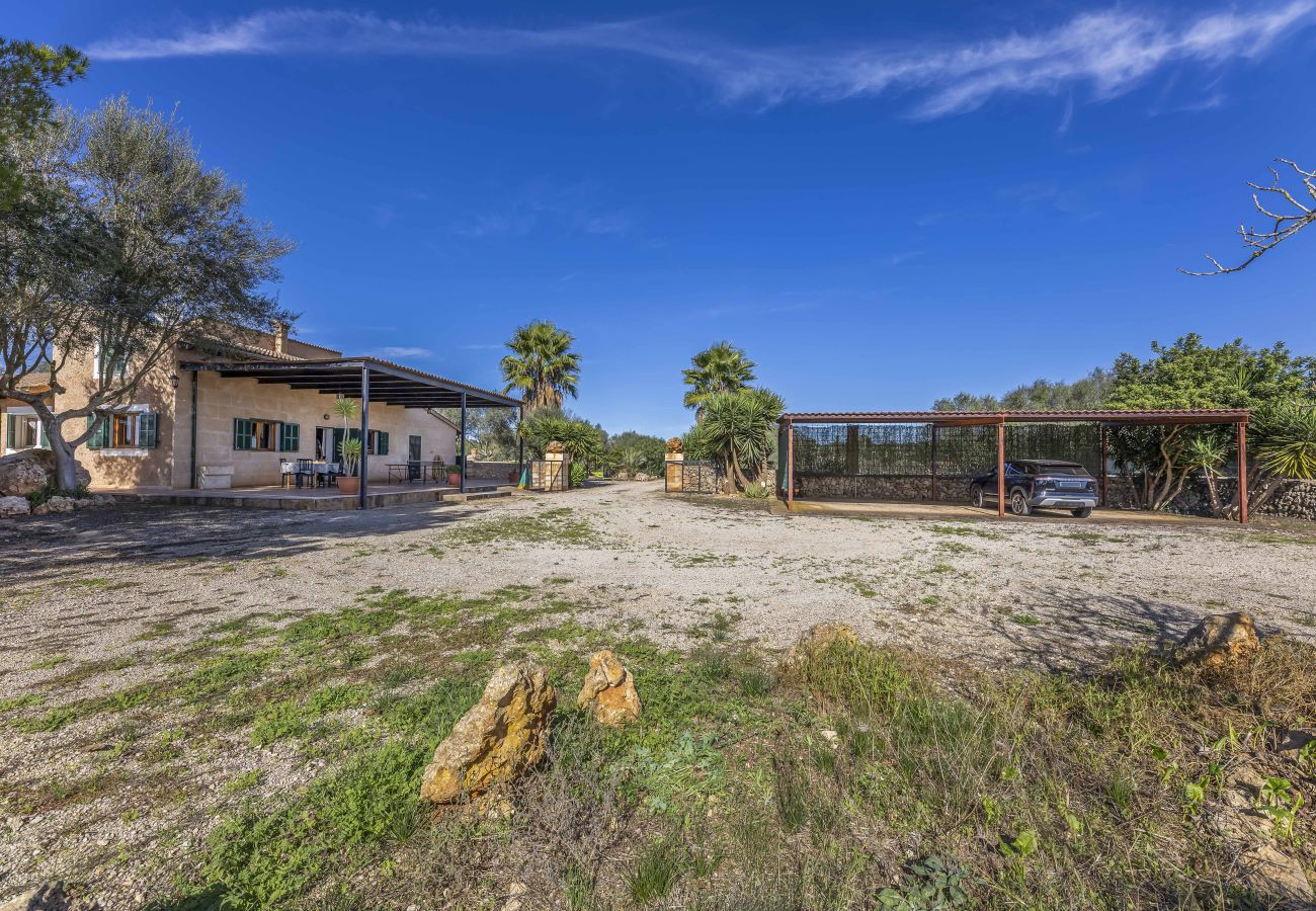 Villa in Santa Margalida - Mercedes