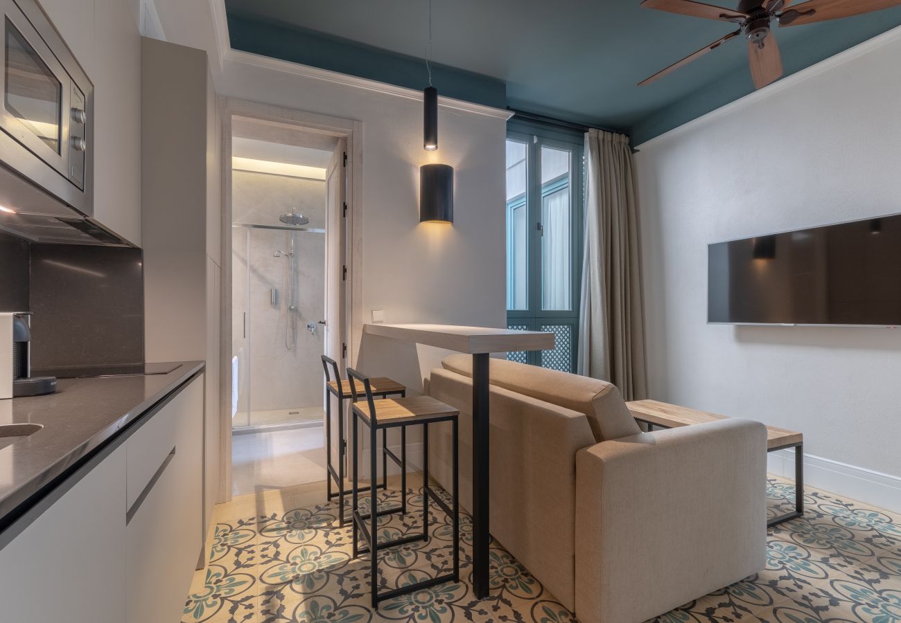 Appartement à Seville - Caminante del Agua VI: Great flat Sevilla center