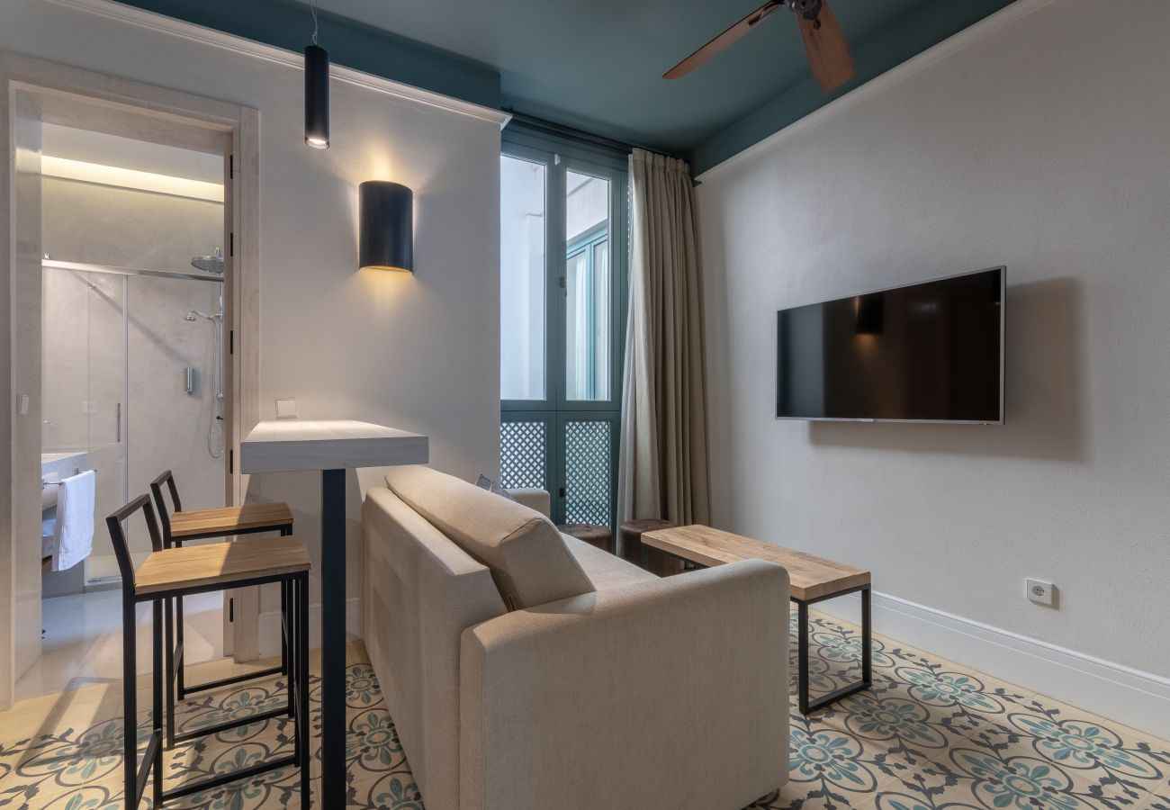 Appartement à Seville - Caminante del Agua VI: Great flat Sevilla center