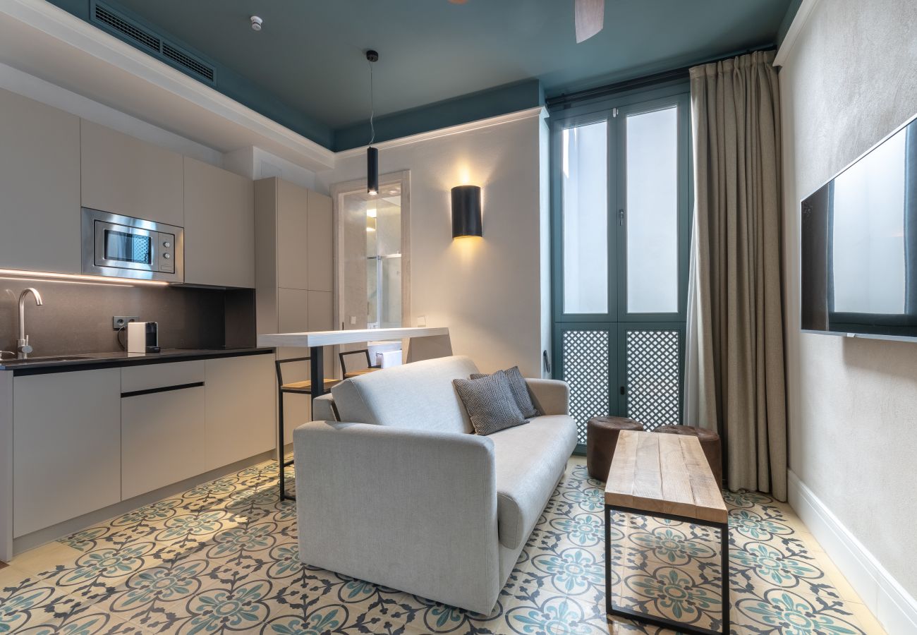 Appartement à Seville - Caminante del Agua VI: Great flat Sevilla center