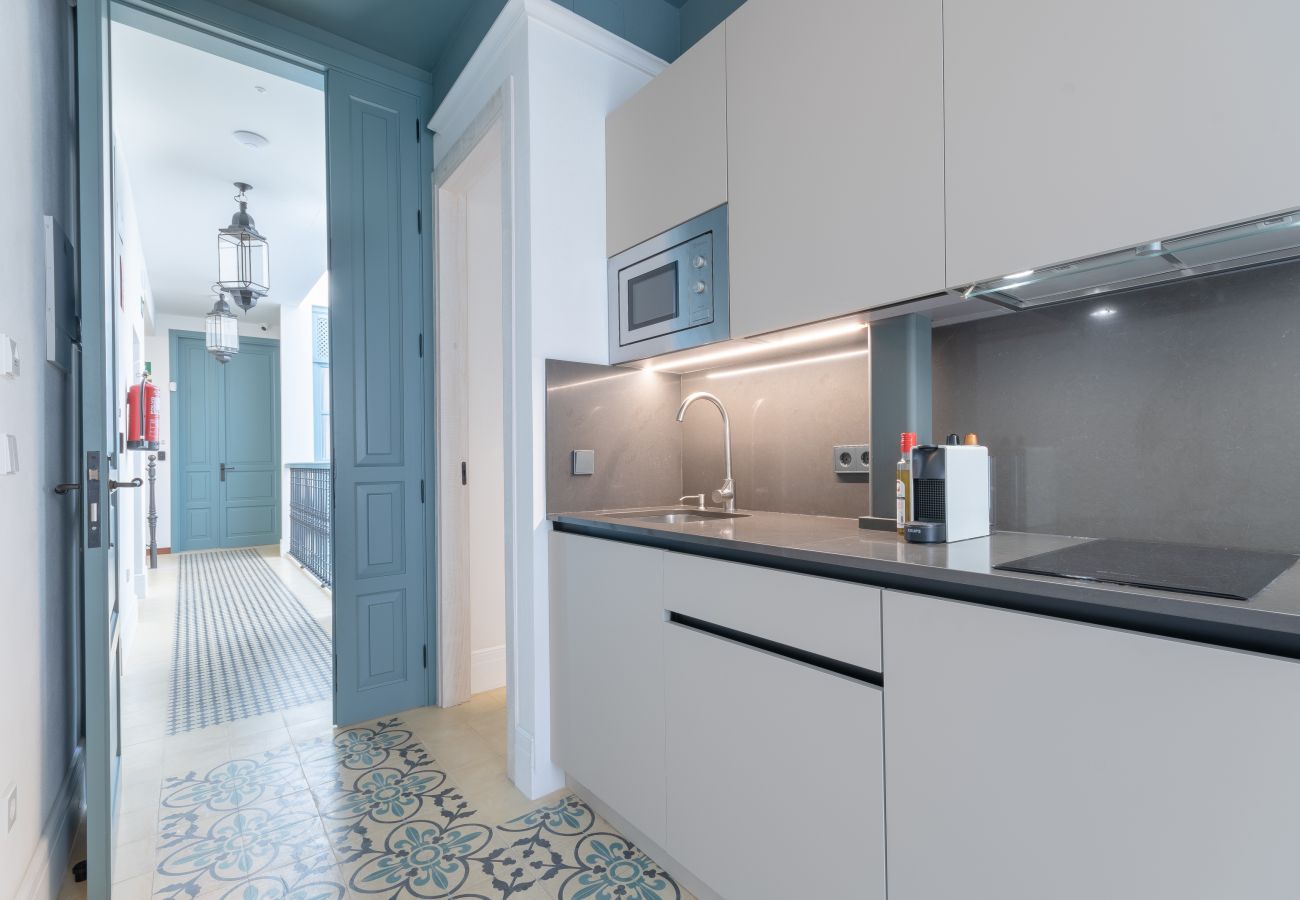Appartement à Seville - Caminante del Agua VIII: Great flat Sevilla center