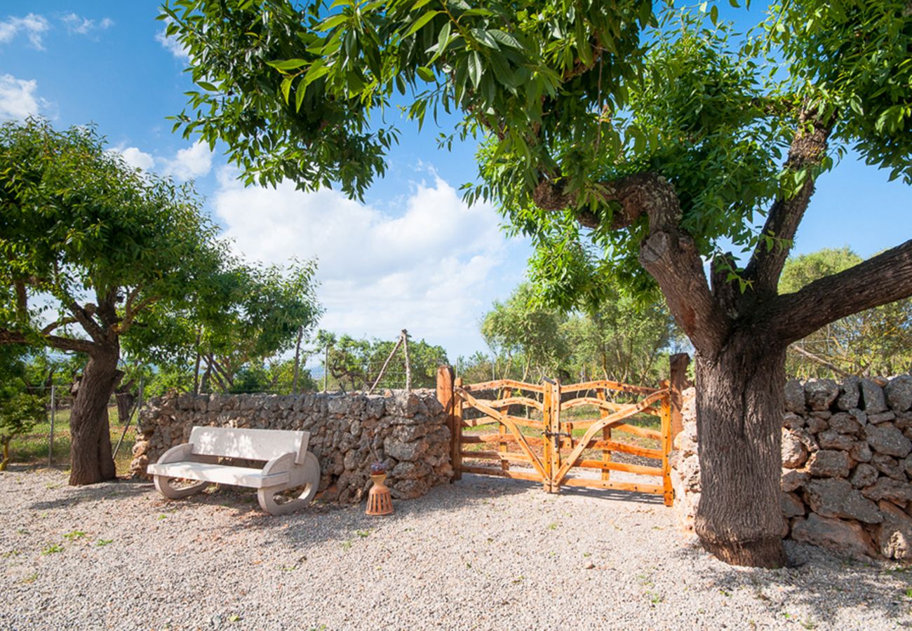 Fattoria a Santa Margalida - Caseta Son Morro
