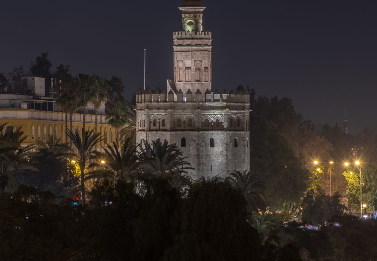 Appartamento a Sevilla - Caminante del Agua VIII: Great flat Sevilla center