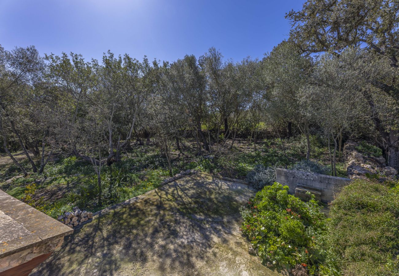 Fattoria a Costitx - Finca Can Gallet