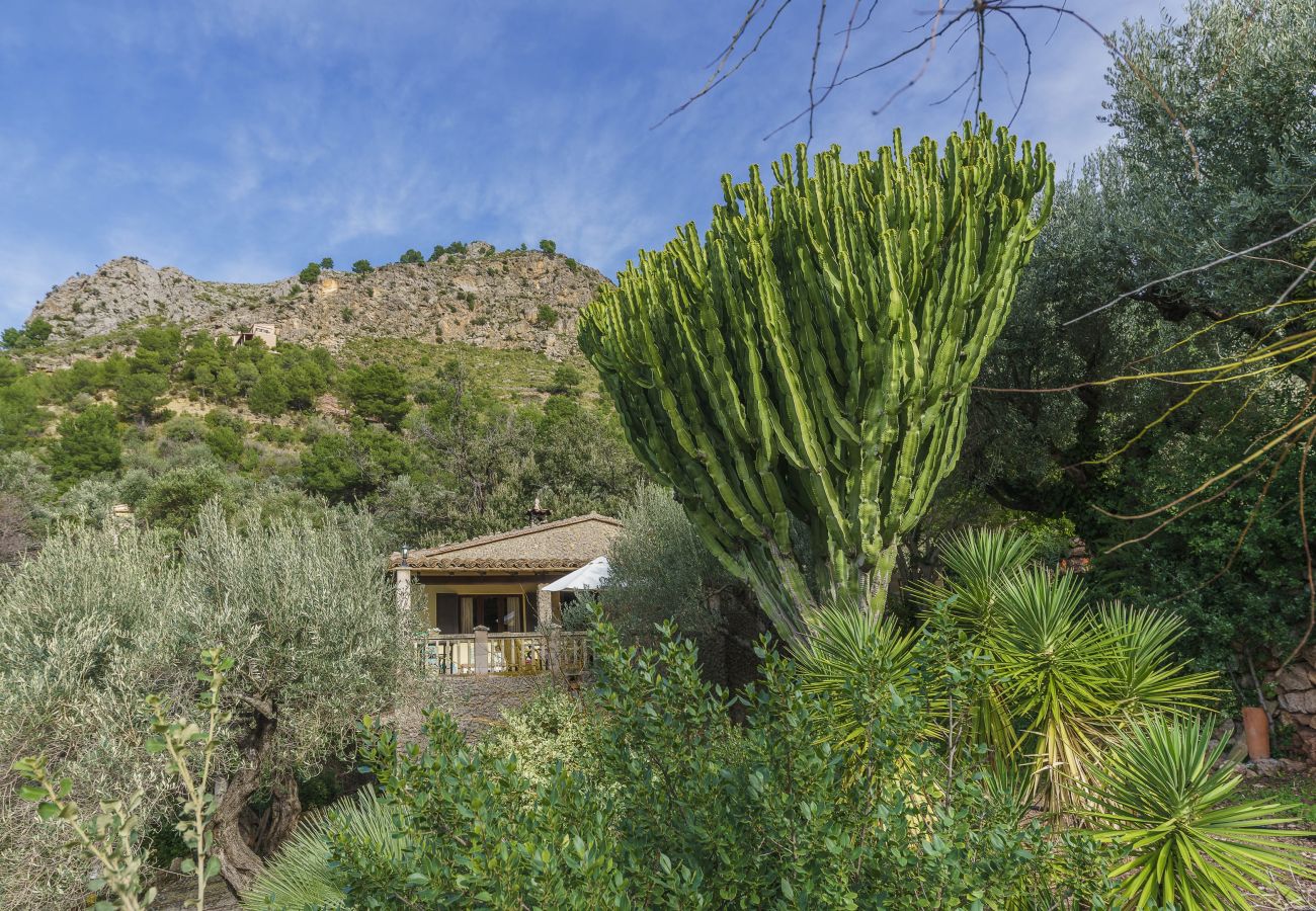 Villetta a Escorca - Cala Tuent