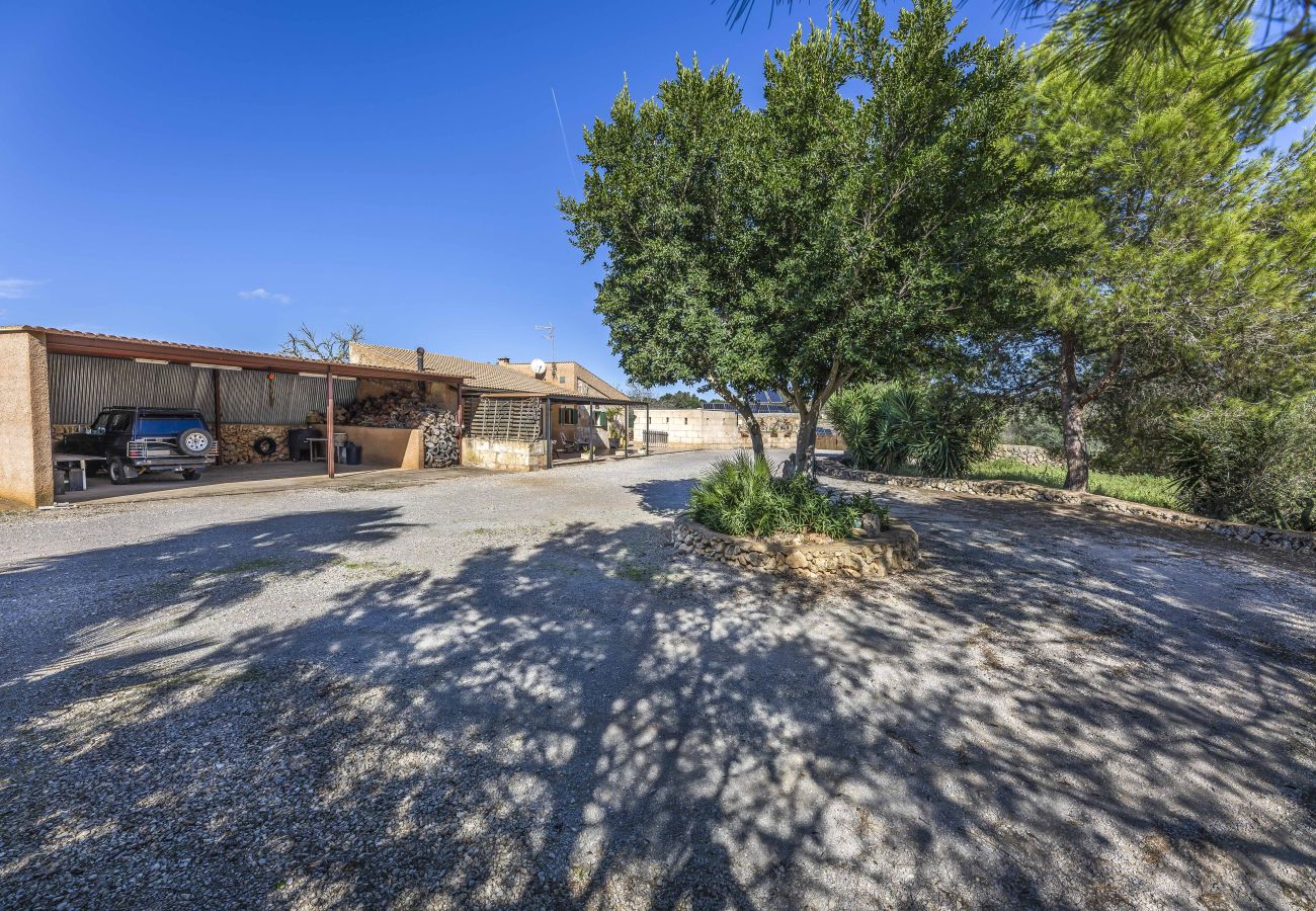 Fattoria a Santa Margalida - Amalia