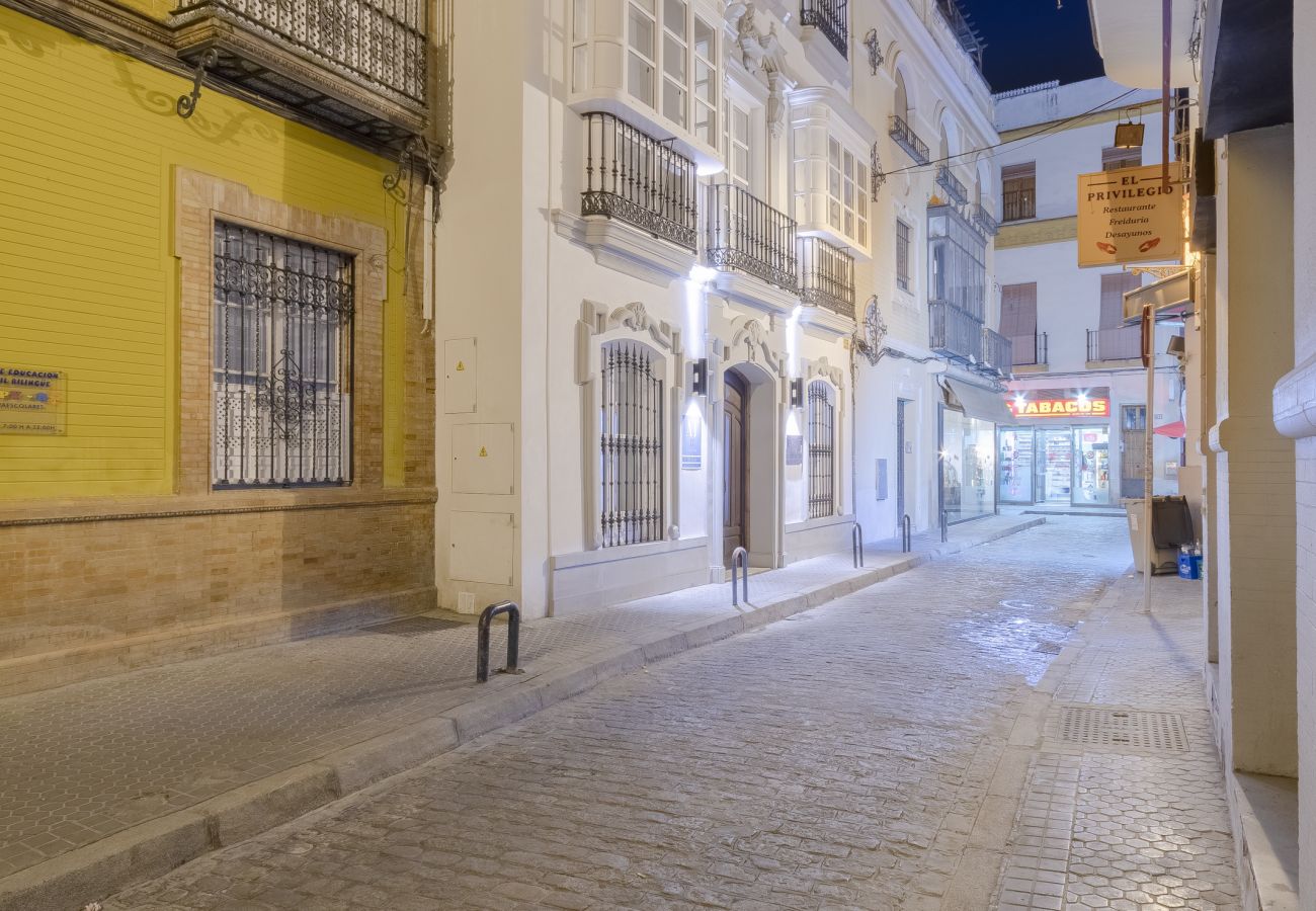 Apartamento em Sevilla - Caminante del Agua IV: Great flat Sevilla center