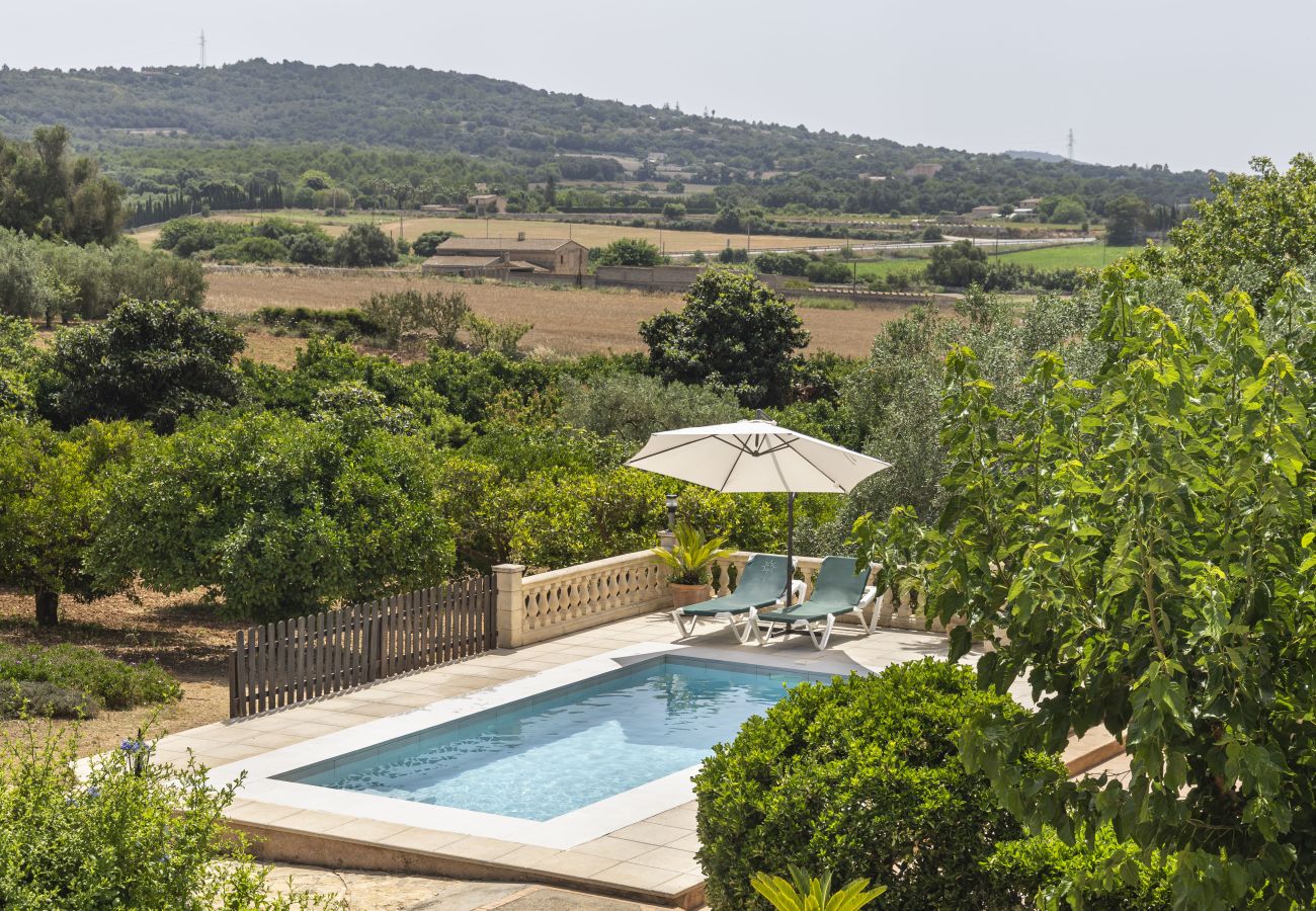 Villa em Manacor - Finca Son Ramon Llull