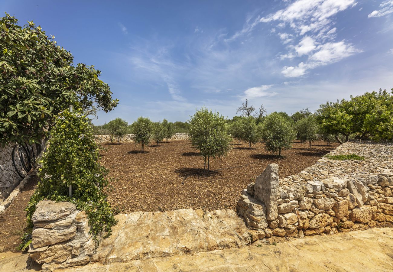 Villa em Manacor - Finca Son Ramon Llull