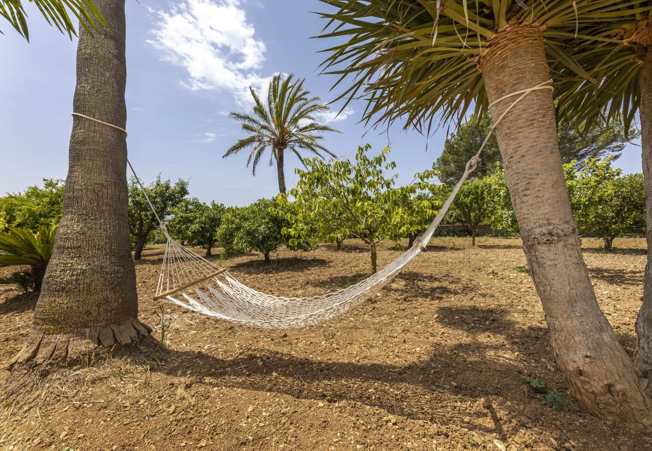 Villa em Manacor - Finca Son Ramon Llull