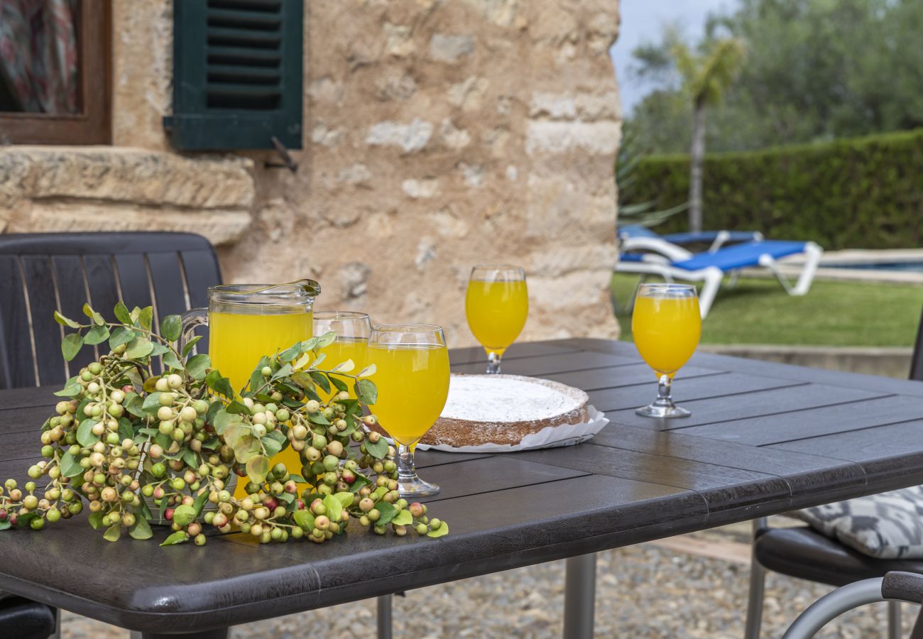 Villa em Llubi - Finca with pool and garden views