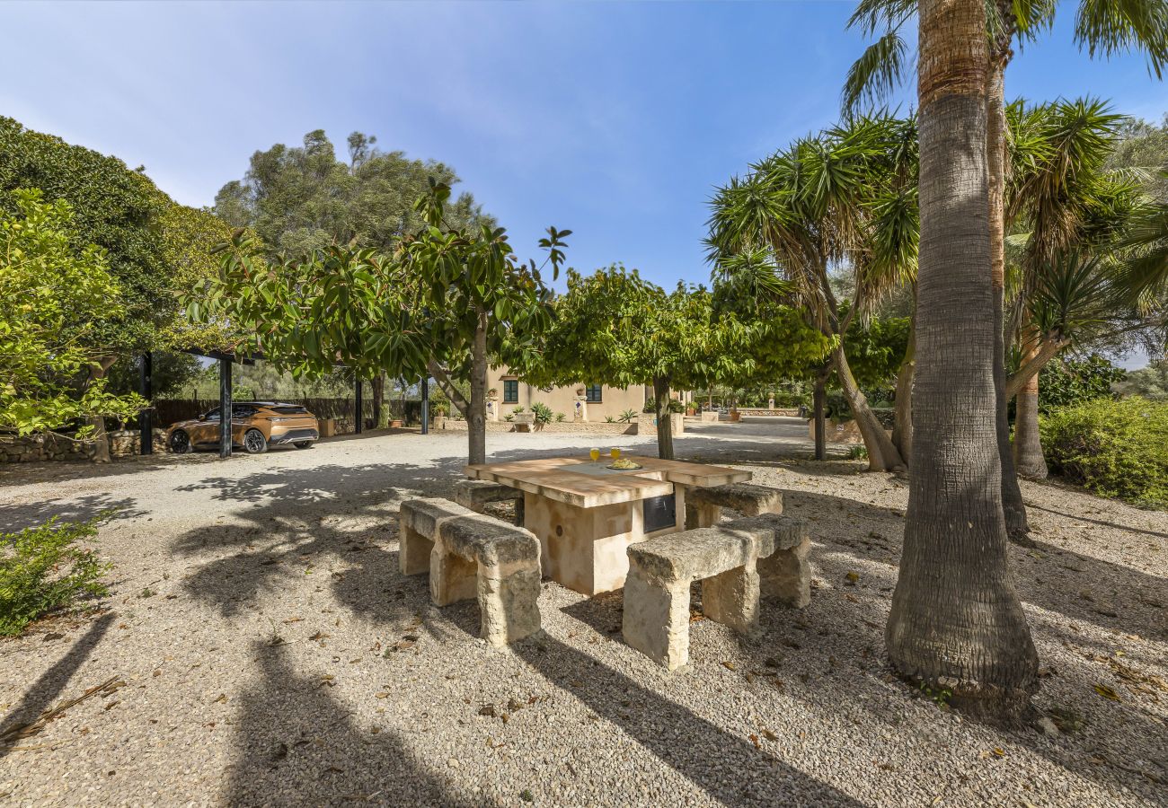 Villa em Llubi - Finca with pool and garden views