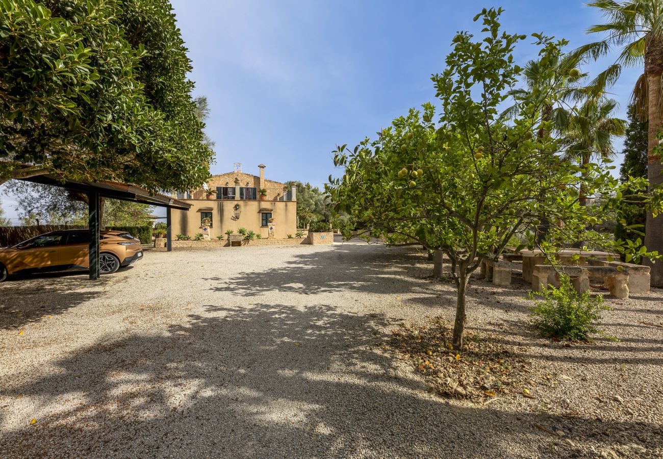 Villa em Llubi - Finca with pool and garden views