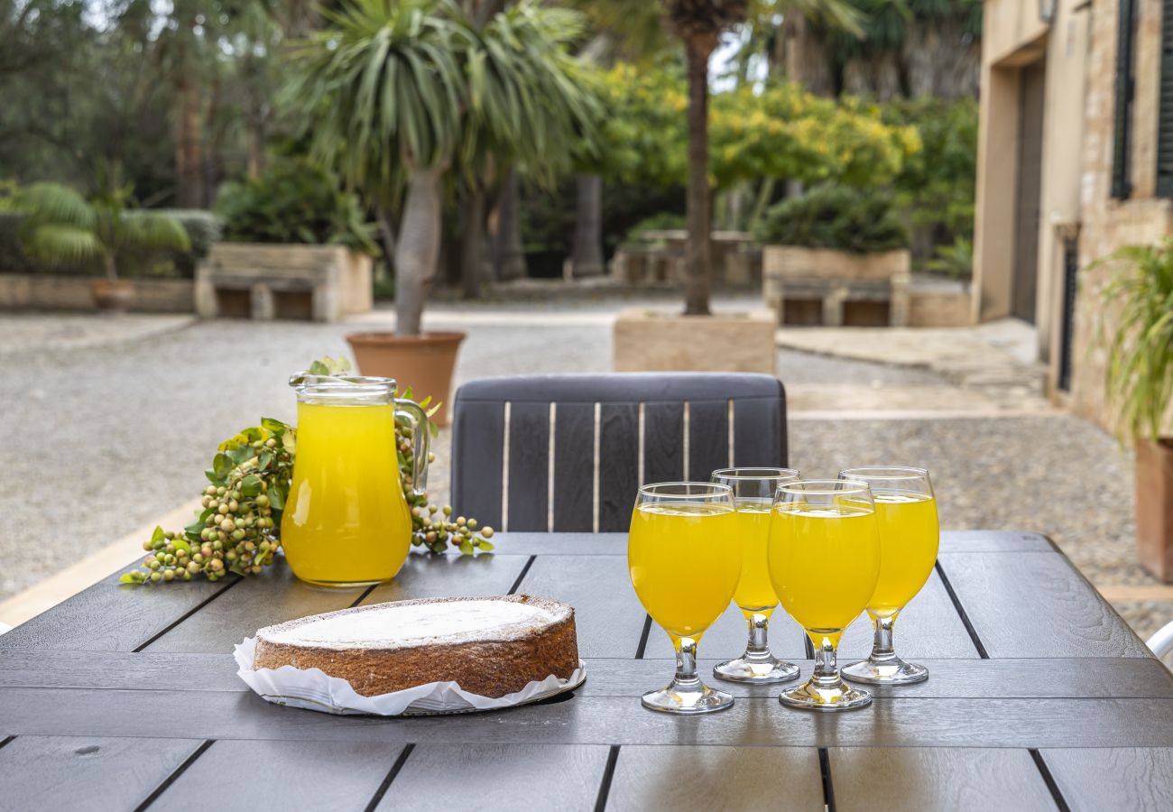 Villa em Llubi - Finca with pool and garden views